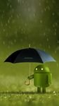 pic for Android Rain 